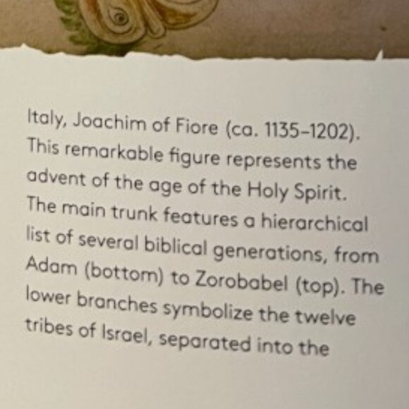 "The Book of Trees: Visualizing Branches of Knowledge" Hardcover 209 Pages - Picture 10 of 13